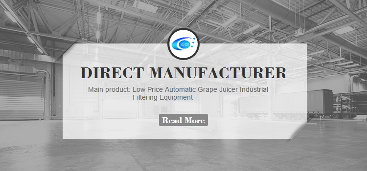 SS 304/SS316L Micron Rating 0.22-100 Um Industrial Grape Juicer with Automatic Filtering