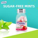 MUI Sugar Free Mint Candy Vitamin C Healthy No Sugar 38g Bottle Pack