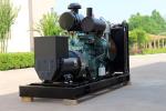 Customized 350kw Natural Gas Generator with 630A Rated Current and CE Certificat