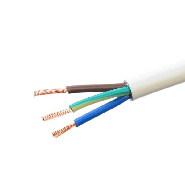 European Standard 2/3 Core Shielded Power Cable 1.8M Length Flexible PVC Metal