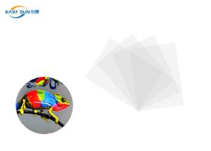 Quality A3 A4 Sheet DTF PET Film Cold Peel 0.075mm For Digital Printing wholesale