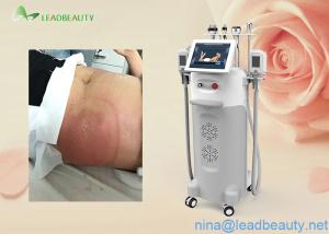 Quality Cryo/Ultrasound/RF heads Multi-functional Cryolipolysis weight reduction beauty machine wholesale
