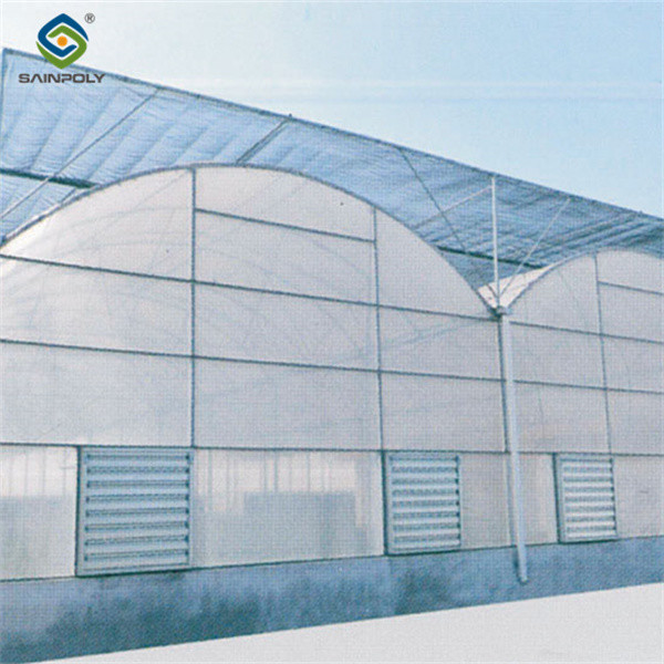Heat Resisting Morden Multi Span Greenhouse For Commercial Agriculture