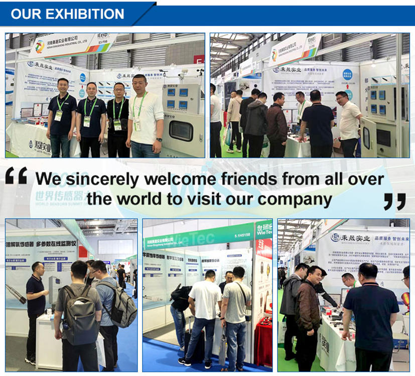 High Precision PH Sensor Handheld Portable Dissolved Oxygen Meter for Aquaculture