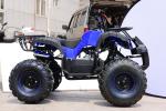 110cc,125cc ATV gas,4-stroke,single cylinder.air-cooled.Kill start,good quality