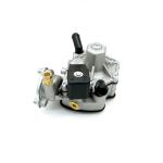 Larger Internal Passages 110W LPG Pressure Regulator Reducer With Black Solenoid
