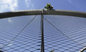 Quality Prevent Children Falling Architectural Wire Mesh 7 X 7 wholesale