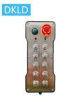 Ten-way dual speed switch industrial remote control
