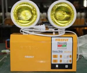 Quality Non-maintained Emergency Twinspot Light wholesale