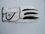 golf glove , golf gloves , glove , gloves