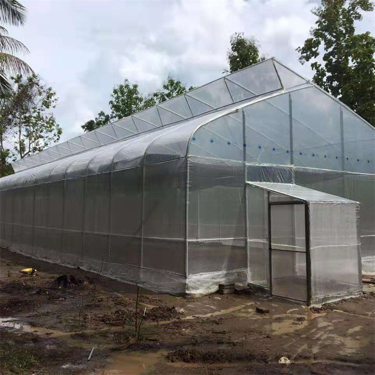 Gothique Tunnel Side Ventilation Tunnel Plastic Greenhouse With 2m Sliding Door