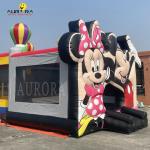 Cartoon Character Inflatable Adults Bouncy Castle Kids PVC Bouncy Castle