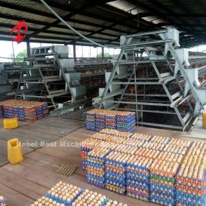 Quality Turnkey Project Automatic Poultry Battery Cage System 3 Tiers 450cm2 Star wholesale
