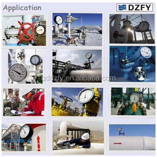 80mm Kpa Mbar Bellows Pressure Gauge Low Pressure Manometer Radial Connection