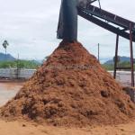 Coir Open Silk Machine for Brown Mattress Coconut Fiber Extractor at Farms