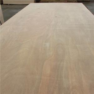 Quality Ocean Plate Water Resistance 6mm Mahogany Marine Plywood wholesale