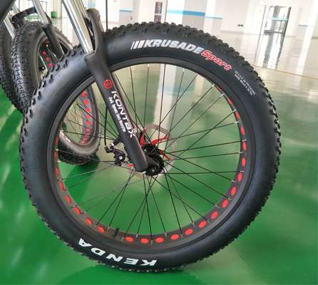 48V 750W Bafang Rear Hub Motor Electric Bicycle for Mountain Riding on 26 Inch Wheel