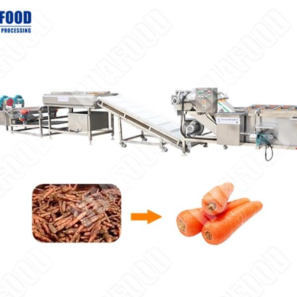 Cheap Air Bubble Food Drying Machine Vegetable Washing Processing Machine for sale
