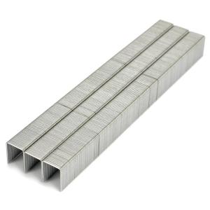 Quality Galvanized Type 53 Staples 10mm 7/16&quot; Crown JT21 5/16 Length Chisel Point wholesale