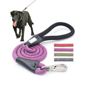 Quality Purple Dog Walking Leash Colorful Pet Walk Running Nylon Slip Lead Double Rope wholesale