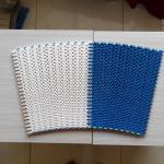 Customized Plastic Conveyor Belt for Logistics Transmission