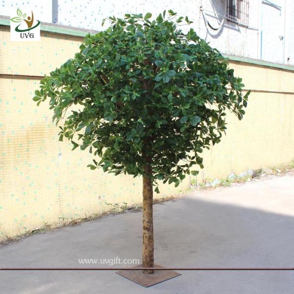 UVG GRE024 Wholesale green artificial money tree plant for restaurant decoration