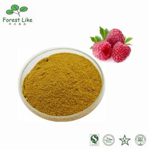 Quality 100% Natural Wild Raspberry Extract Natural Berries Juice Powder Free Sample wholesale