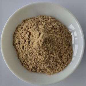 Quality pure natural nutrition supplement immune anti-fatigue barley malt extract wholesale