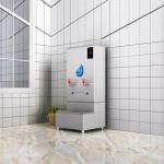 Commercial 35L Hot Water Boiler Dispenser 2KW With 2 Faucets