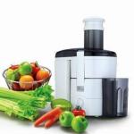 KP60PA power juicer from kavbao