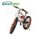 26 Inch Tires 2 Wheel Electric Bike Outdoor Off Road Dirt Electric Snowmobile