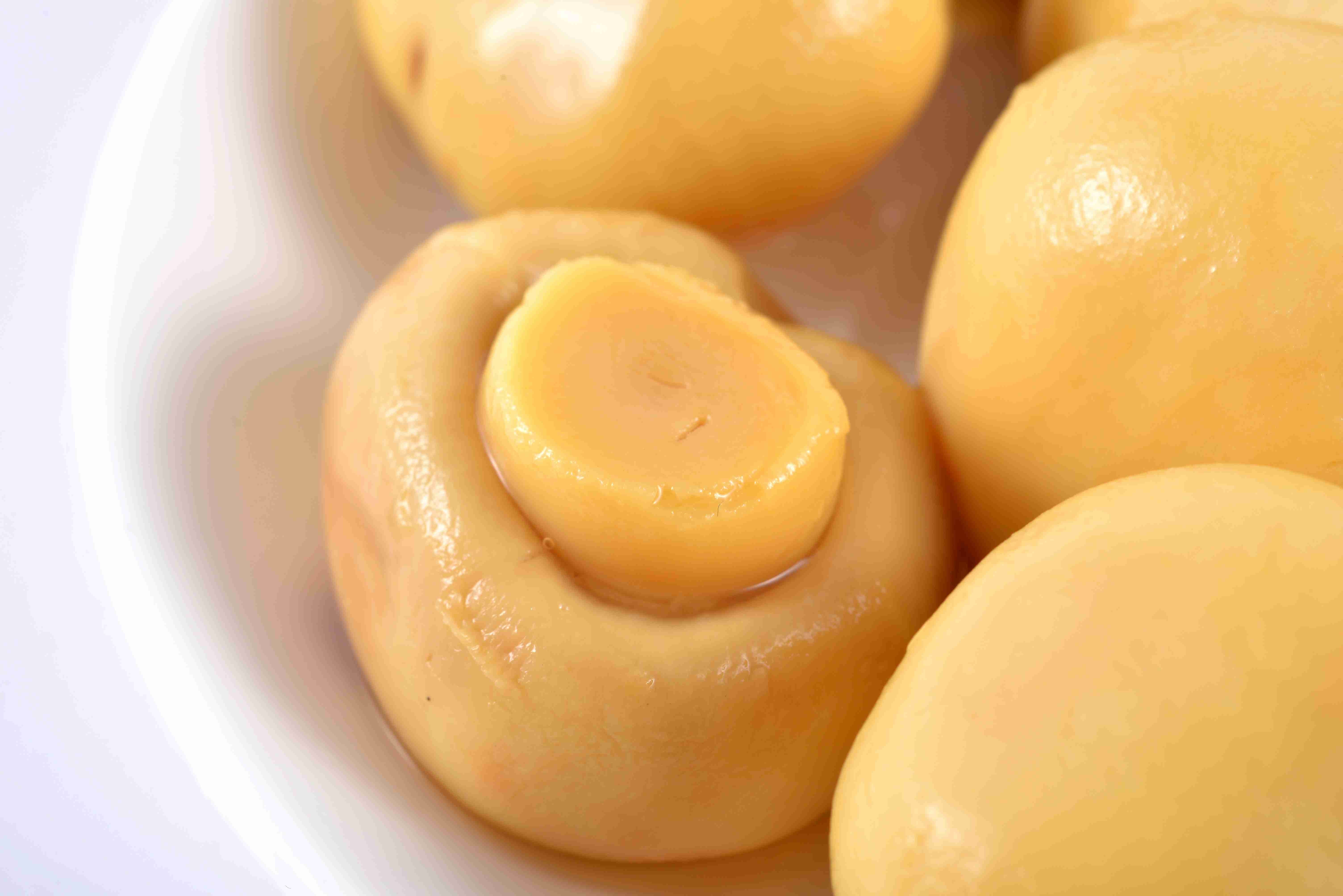 Halal / Kosher Certificate Canned Whole Mushrooms Customer Brand Available