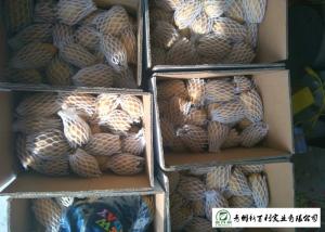 Quality Small Size Fresh Potato 100 G - 200 G Supply To Wholesaler And Supermarket wholesale