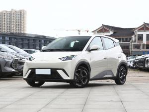 Quality Free Version BYD Full Electric Car Warm Sun White 55KW Pure Electric Car wholesale
