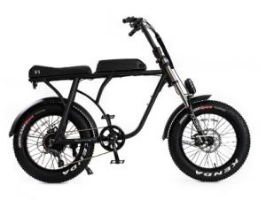 Quality 20&quot; Big Fat Long Range Electric Bikes Cycle Snow Aluminum 36v 10ah 350w wholesale