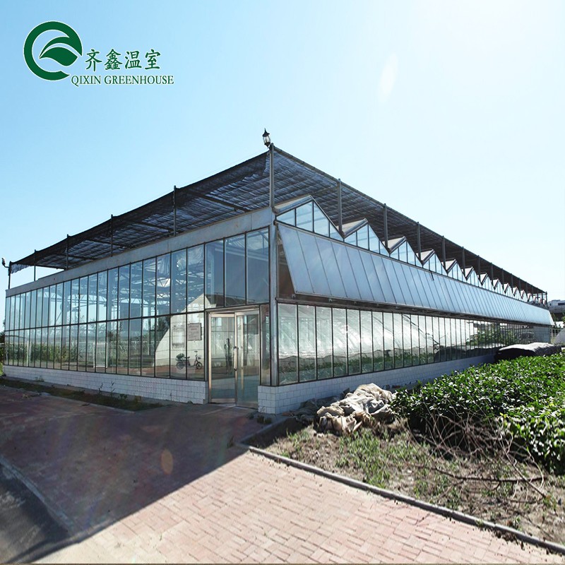 Customized Canada Tunnel Greenhouse Garden Tunnel with Glass or PC Sheet