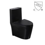 Siphon Dual Flush Valve Bathrooms Toilets Matte Black Csa Toilet With 10.5 Rough