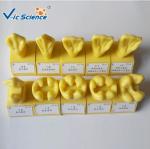 Standard Rubber Teeth Mould Dental Teaching Model , Study Models In Dentistry