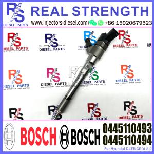 Quality 0445110493 Auto Fuel Injector 0445 110 493 Common Rail Injection Assy 0445 110 493 for MWM JAC wholesale
