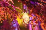 Floating 3D Holographic Display Hologram Musion Eysliner Foil 5x30m