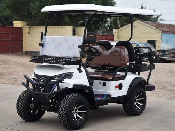 2+2 Seats Electric Golf Cart For Ultimate Comfort And Style 6 Seater With