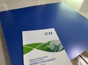 Quality Single Layer CTCP Printing Plates 0.30mm High-Precision Printing wholesale