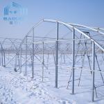 Strong Packing Polytunnel Greenhouse Hobby Commercial Agricultural Support