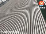 ASME SA213 TP321 Stainless Steel Seamless Heat Exchanger Tube