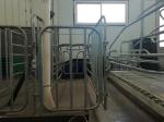 Professional Pig Gestation Stalls , Swine Gestation Cages Alkali Reistance