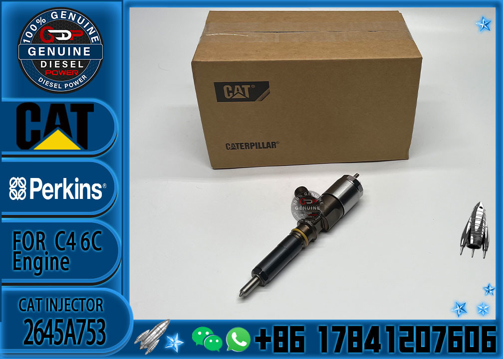diesel injector 2645A753 common rail injector 321-3600 for Caterpillar engine C6.6 for Caterpillar C6.6 953D D6K D6K LGP