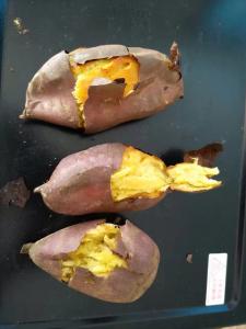 Quality IQF Frozen Baked Whole Sweet Potato wholesale