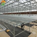 Large Polycarbonate Greenhouse for Vegetable and Flower Cultivation