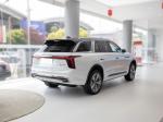 Left Steering Suv Electric New Cars Hongqi New Energy Vehicles E-HS9 690km Flag
