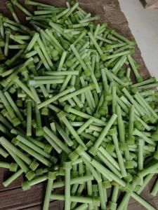 Quality Green Size M6 FRP Bolt Fiber Reinforced M6 Plastic Bolts wholesale